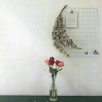 西游降妖记bt版下载